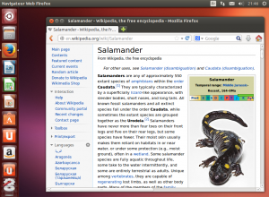 La Salamandre, un amphibien urodèle, est le nom de code de développement d'Ubuntu 13.10.