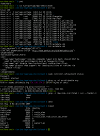 Une session de terminal ayant pour shell Bash